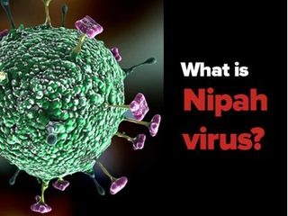 Nipah Virus Explained